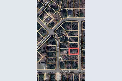 Guava Pass Crossing #5, Ocklawaha, FL 32179 - Photo 5