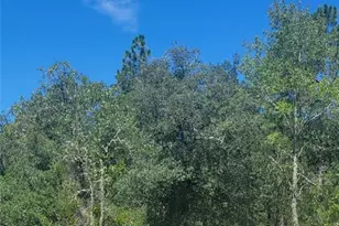 0 SW Big Bear Ridge, Dunnellon, FL 34431 - Photo 1