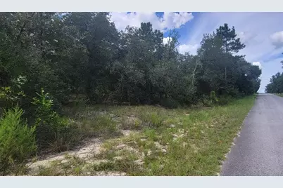 0 SW Big Bear Ridge, Dunnellon, FL 34431 - Photo 3
