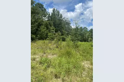 Se 42nd Terrace, Summerfield, FL 34491 - Photo 1