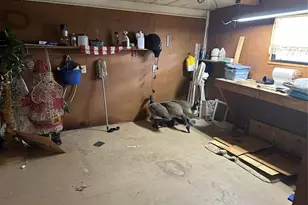 10078 SW 87th Terrace, Ocala, FL 34481 - Photo 5