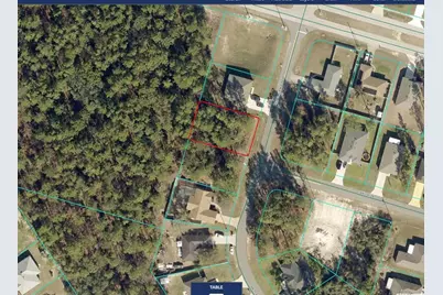 Tbd SW 73rd Avenue Road, Ocala, FL 34473 - Photo 1