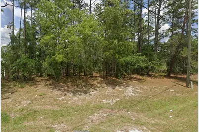 Tbd SW 135th Loop, Ocala, FL 34473 - Photo 1