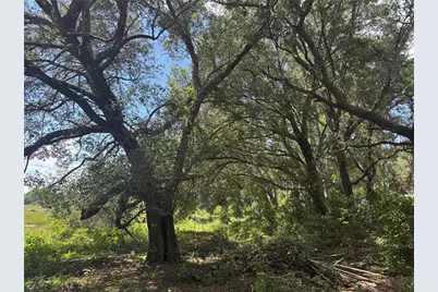 0 SE 180th Ave, Ocklawaha, FL 32179 - Photo 11