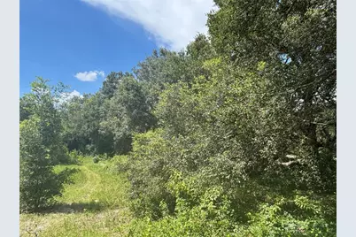 0 SE 180th Ave, Ocklawaha, FL 32179 - Photo 9