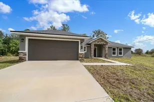 3 Malauka Radial Track, Ocklawaha, FL 32179 - Photo 9