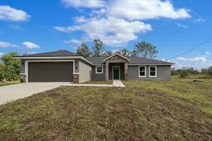 3 Malauka Radial Track, Ocklawaha, FL 32179 - Photo 13