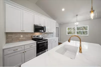 3 Malauka Radial Track, Ocklawaha, FL 32179 - Photo 41