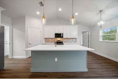 3 Malauka Radial Track, Ocklawaha, FL 32179 - Photo 39