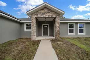 3 Malauka Radial Track, Ocklawaha, FL 32179 - Photo 11