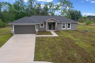 3 Malauka Radial Track, Ocklawaha, FL 32179 - Photo 7