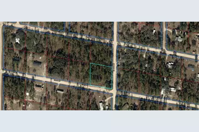 Tbd NE 134th Court, Williston, FL 32696 - Photo 3