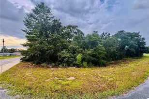 Tbd SW 111th Pl, Ocala, FL 34476 - Photo 1