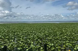 15402 SE US Hwy 301, Hawthorne, FL 32640 - Photo 3