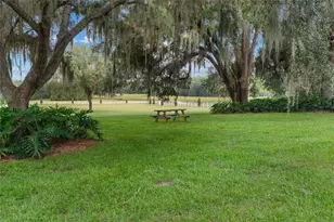 21679 SW 106th Lane Rd, Dunnellon, FL 34431 - Photo 49