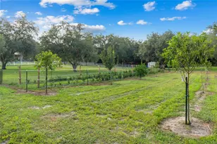 21679 SW 106th Lane Rd, Dunnellon, FL 34431 - Photo 59