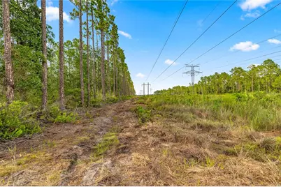 Tbd NE 125th Ave, Fort Mc Coy, FL 32134 - Photo 1