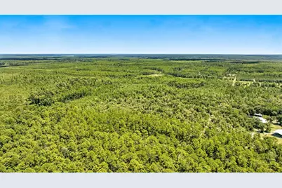 Tbd NE 125th Ave, Fort Mc Coy, FL 32134 - Photo 1