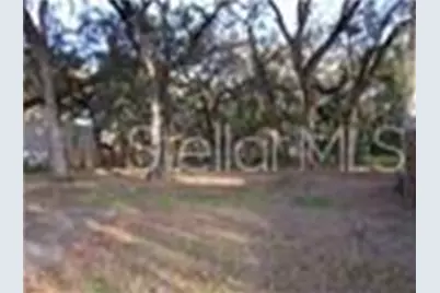 3965 Cr 400, Lake Panasoffkee, FL 33538 - Photo 13