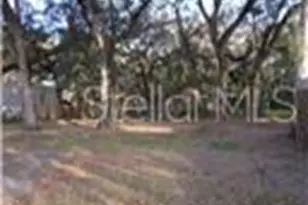 3965 Co Rd 400, Lake Panasoffkee, FL 33538 - Photo 13