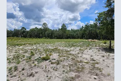 10290 NE 58th Lane, Bronson, FL 32621 - Photo 7