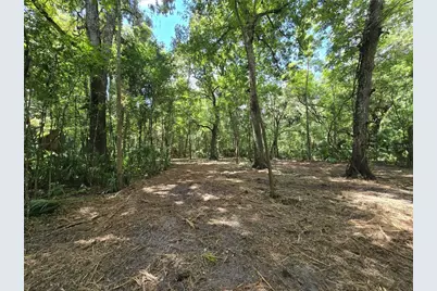 2452 N Junglecamp Road, Inverness, FL 34453 - Photo 41