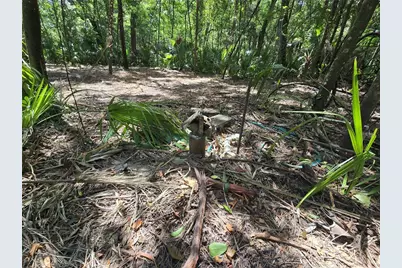 2452 N Junglecamp Road, Inverness, FL 34453 - Photo 23