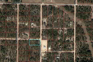 Tbd SE 148 Ave, Williston, FL 32696 - Photo 1