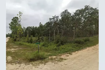 Tbd SE 148 Avenue, Williston, FL 32696 - Photo 3