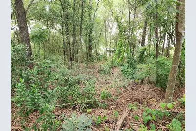 Lot 6 SE Bahia Ct. Terrace, Ocala, FL 34472 - Photo 3