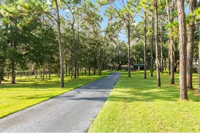 10745 SE Sunset Harbor Road, Summerfield, FL 34491 - Photo 11