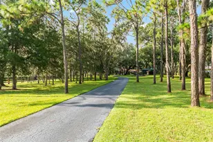 10745 SE Sunset Harbor Rd, Summerfield, FL 34491 - Photo 11