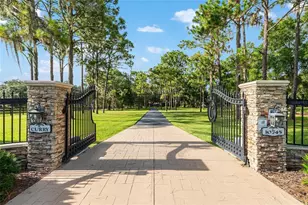 10745 SE Sunset Harbor Rd, Summerfield, FL 34491 - Photo 15