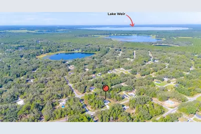 58 Fisher Trace Run, Ocklawaha, FL 32179 - Photo 5