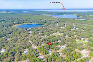 58 Fisher Trace Run, Ocklawaha, FL 32179 - Photo 5