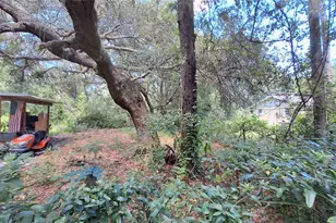 13160 NE 1st Street Rd, Silver Springs, FL 34488 - Photo 35