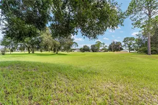 12896 SE 91st Terrace Rd, Summerfield, FL 34491 - Photo 45