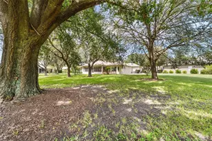 12896 SE 91st Terrace Rd, Summerfield, FL 34491 - Photo 43
