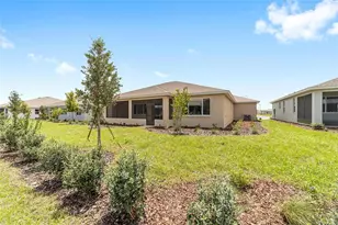 10091 SW 84th St Rd, Ocala, FL 34481 - Photo 49