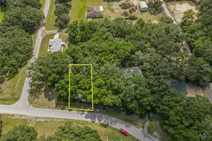 Tbd SW 136 Ct Rd, Dunnellon, FL 34432 - Photo 1