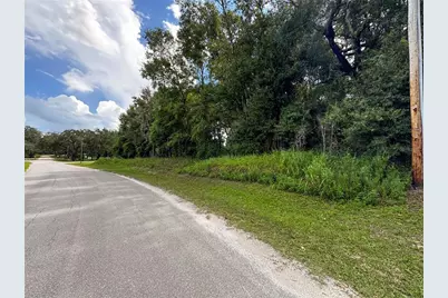 Tbd SW 136 Court Rd, Dunnellon, FL 34432 - Photo 19