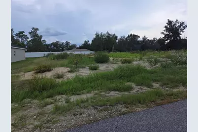 Lot 32 Spruce Pass, Ocala, FL 34472 - Photo 3