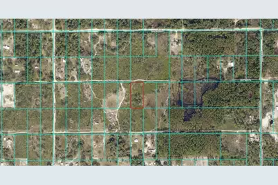 Tract 343 SW 156th Place, Dunnellon, FL 34432 - Photo 1