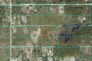 Tract 343 SW 156th Pl, Dunnellon, FL 34432 - Photo 1