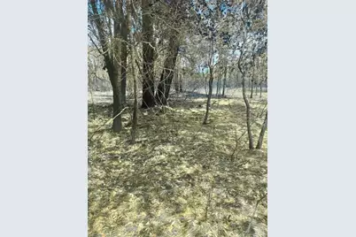 Tract 343 SW 156th Place, Dunnellon, FL 34432 - Photo 3