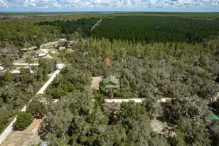 20259 NE 147th Terrace, Fort Mc Coy, FL 32134 - Photo 43