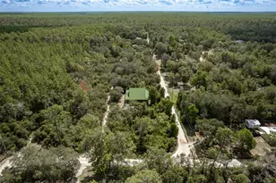 20259 NE 147th Terrace, Fort Mc Coy, FL 32134 - Photo 31