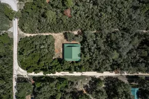 20259 NE 147th Terrace, Fort Mc Coy, FL 32134 - Photo 35