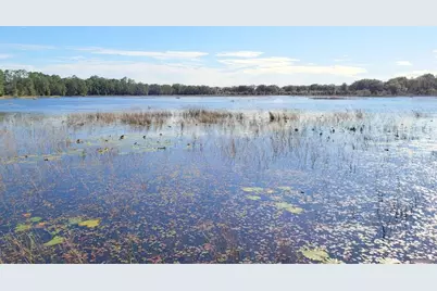 13.12Ac NE Hwy 315, Fort Mc Coy, FL 32134 - Photo 7