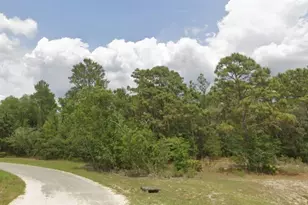 0000 SW 66th Ave, Ocala, FL 34473 - Photo 1